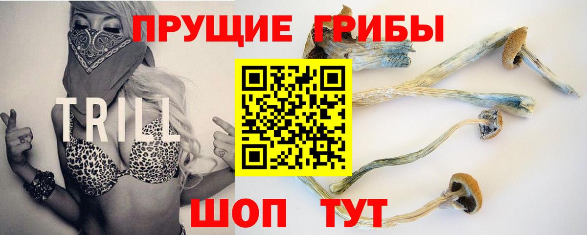 Пыть-Ях  Псилоцибиновые грибы мухоморы  Вход с VPN 